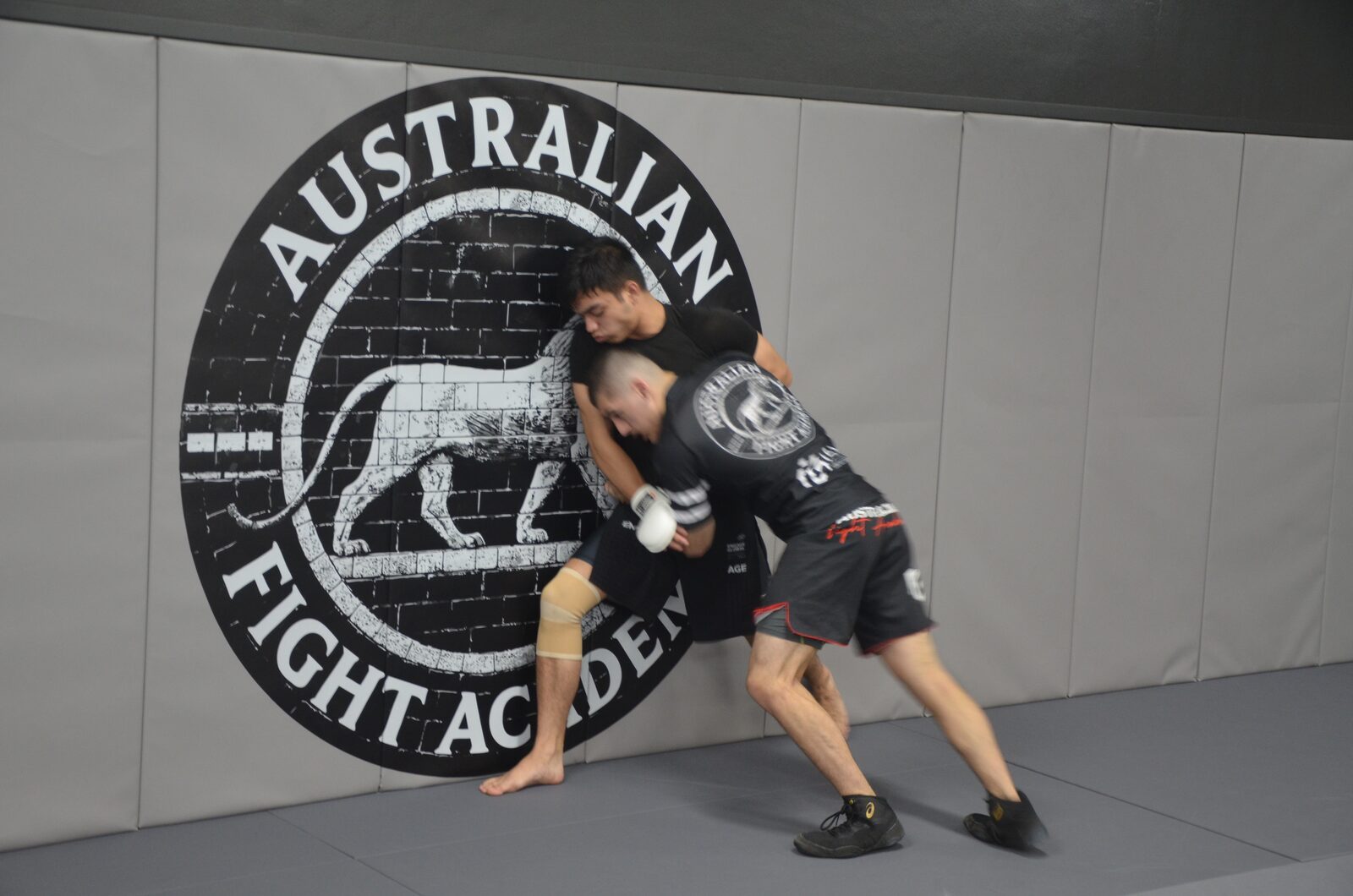 MMA clinch and wrestling training at Australian Fight Academy in Liverpool NSW